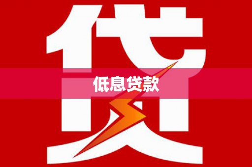 新竹低息贷款
