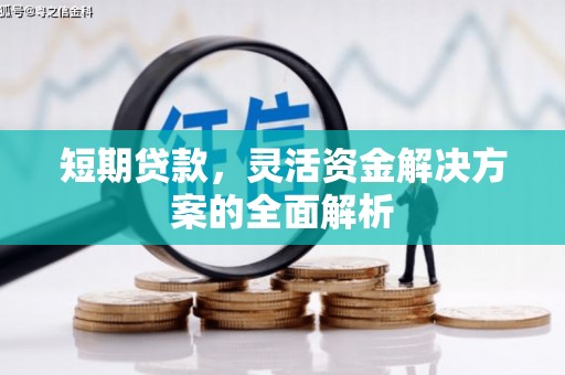 新竹短期贷款，灵活资金解决方案的全面解析