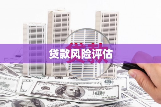 新竹贷款风险评估