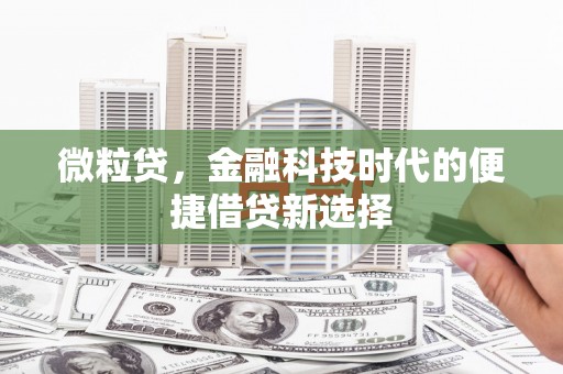 新竹微粒贷，金融科技时代的便捷借贷新选择