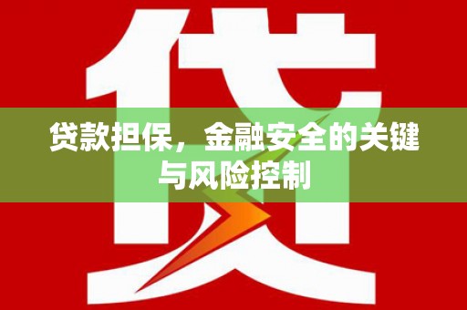 新竹贷款担保，金融安全的关键与风险控制