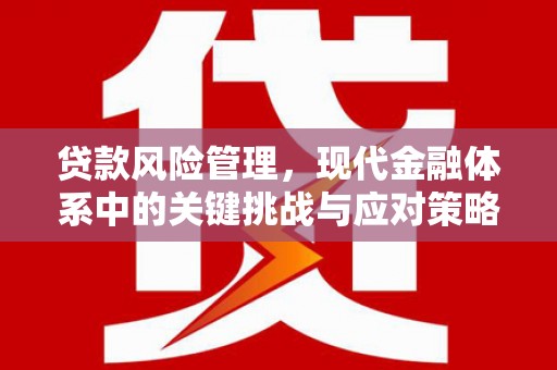 新竹贷款风险管理，现代金融体系中的关键挑战与应对策略