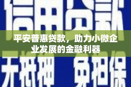 新竹平安普惠贷款，助力小微企业发展的金融利器