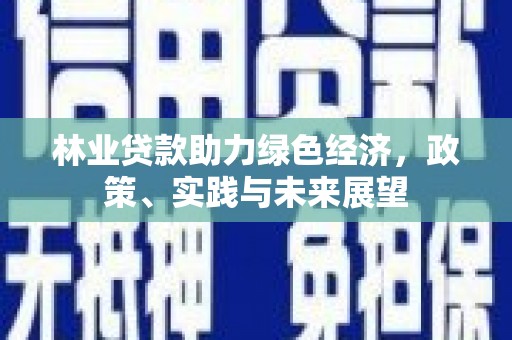新竹林业贷款助力绿色经济，政策、实践与未来展望
