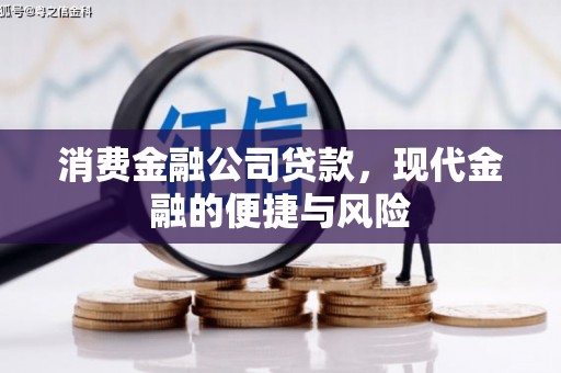 新竹消费金融公司贷款，现代金融的便捷与风险