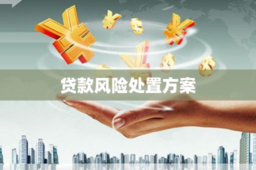 新竹贷款风险处置方案