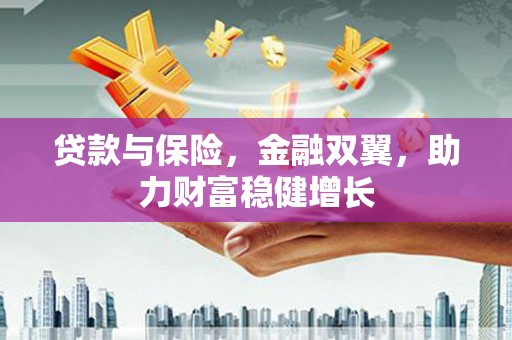 新竹贷款与保险，金融双翼，助力财富稳健增长