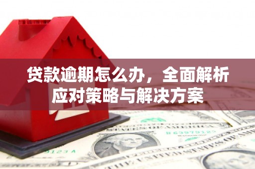 新竹贷款逾期怎么办，全面解析应对策略与解决方案