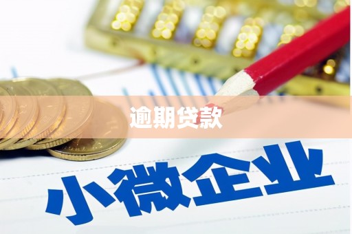 新竹逾期贷款
