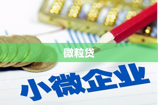 新竹微粒贷