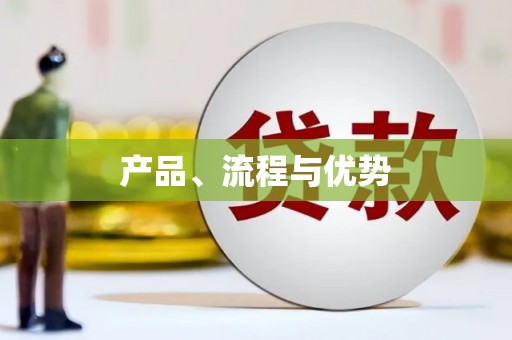 新竹产品、流程与优势
