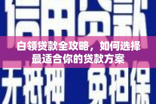 新竹白领贷款全攻略，如何选择最适合你的贷款方案