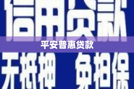 新竹平安普惠贷款